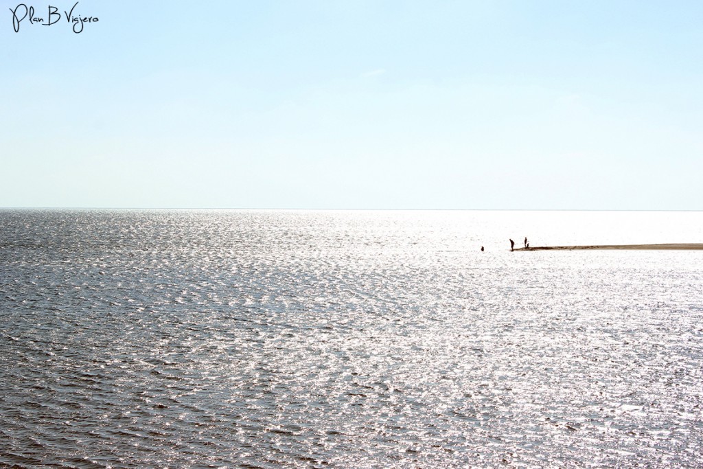 Plan B Viajero Guerrero Negro Reserva El Vizcaíno