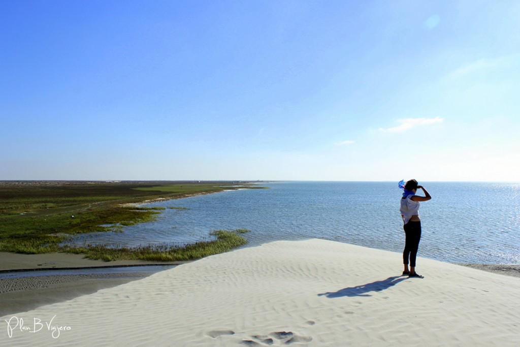 Plan B Viajero Guerrero Negro Reserva El Vizcaíno